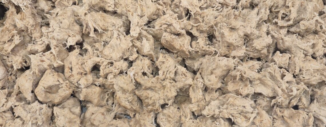 New Vegan Shiitake Mushroom Shreds